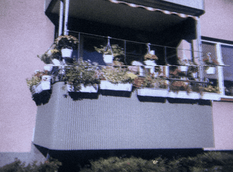 Story Balcony GIF by PunkGarden