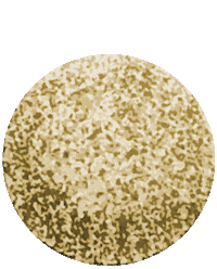 Eat Well Weight Loss Sticker by Losers' Chews