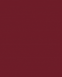 Carpets GIF by Hattenadesignhouse