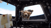 Zero Gravity Space GIF by NASA