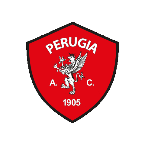 ACPerugiaCalcio giphygifmaker football perugia serieb Sticker