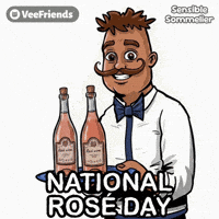 Pink Celebrate GIF by VeeFriends