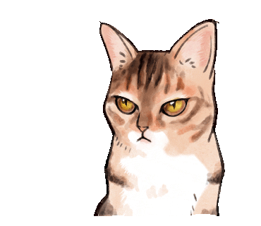 Cats No Sticker