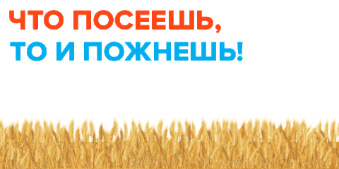 Agro Field Sticker by Agromash