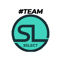 Select Sticker by Digimax Brasil