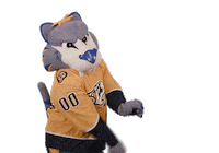 Ice Hockey Sticker by NHL