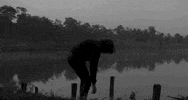 Film Fishing GIF