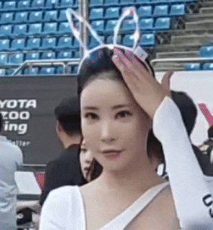Model GIF