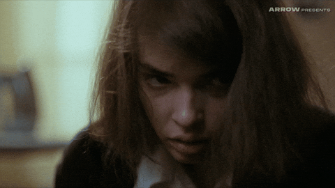 New York Horror GIF by Arrow Video