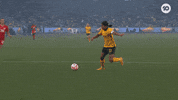 Sport Soccer GIF by Football Australia