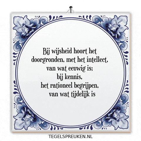 Humor Nl GIF by Tegelspreuken.nl