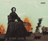 SESIUS_01 cat fire cats attack GIF