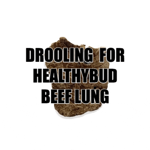 healthybudco dog treats healthybud beef lung healthybudco GIF