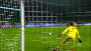 werder werderbremen GIF