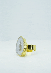 GIF by House of Vincent