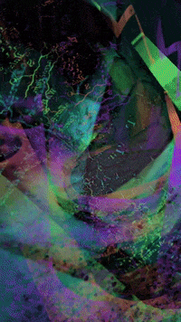 Rainbow Bottle GIF by Mollie_serena