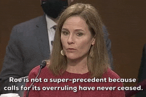 Senate Judiciary Committee Precedent GIF by GIPHY News