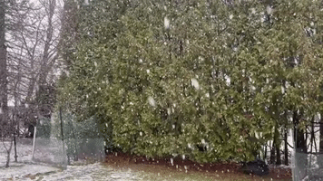 Lake-Effect Snow Showers Hit New York