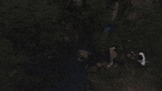 Under The Sea Water GIF by SUR