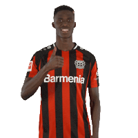 I Like Yes Sticker by Bayer 04 Leverkusen