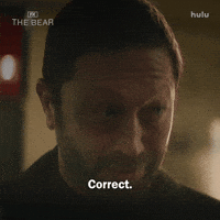 Understand You Got It GIF by The Bear