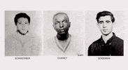 Freedom Summer GIF by GIPHY News