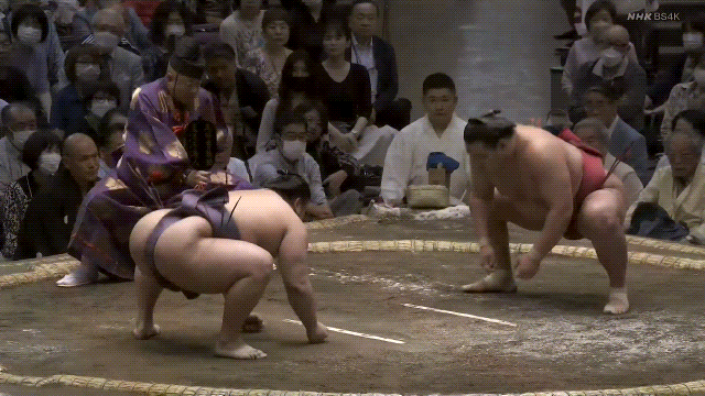 TZ85 giphyupload sumo 2023 natsu basho hoshoryu GIF