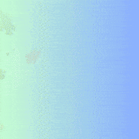 Betting Poker Face GIF by Zhot