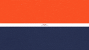 Uva Football GIF by Virginia Athletics