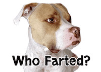 Fart Sticker by Pimp Yo Pets