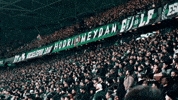 Kocaelispor GIF
