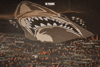 Kocaelispor GIF