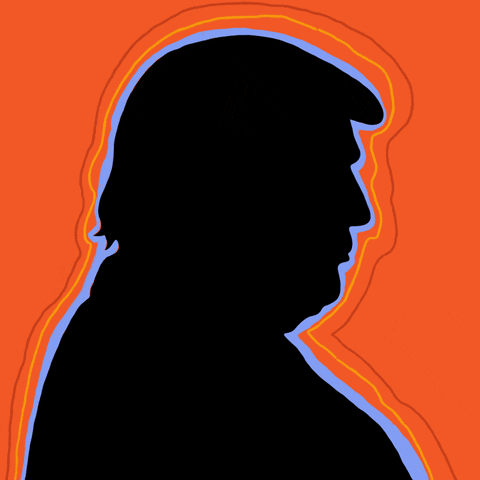 Donald Trump GIF by INTO ACTION