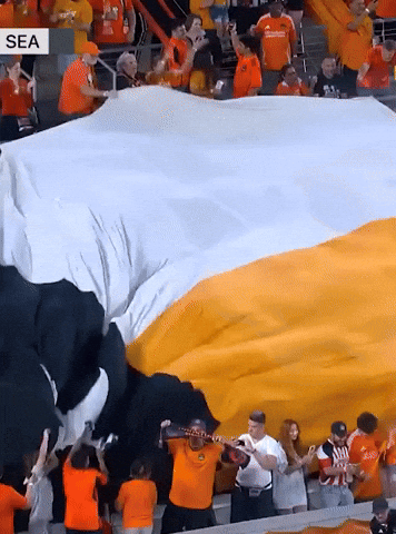 Houston Dynamo Texas GIF by Major League Soccer