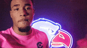 Goalkeeper Keeper GIF by Carson-Newman Athletics