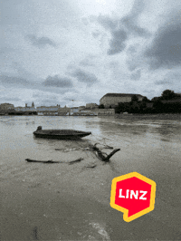 Summer Rain GIF by Linz News