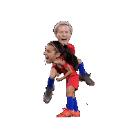 Soccer Usa Sticker