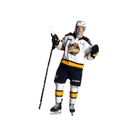 ottershockey ohl erie otters erie otters hockey otters hockey Sticker