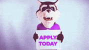 Admissions Apply GIF by Southwest Baptist University