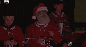 Ice Hockey Christmas GIF by NHL