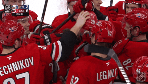 Carolina Hurricanes Fun GIF by NHL