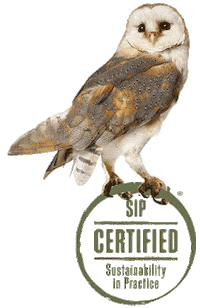 Wine Owl Sticker by SIP Certified