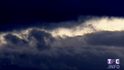 ligue 1 soccer GIF by Toulouse Football Club