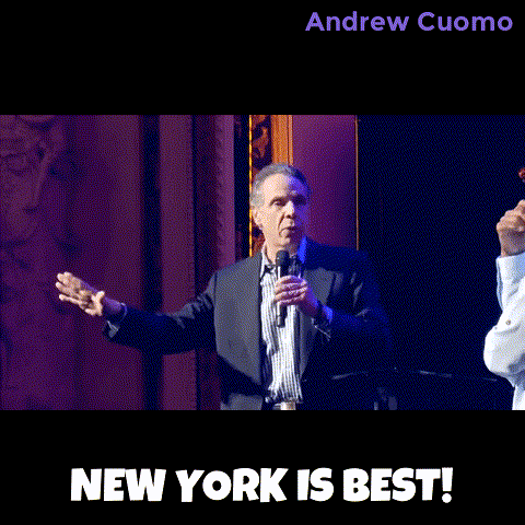 New York Vote GIF by Andrew Cuomo