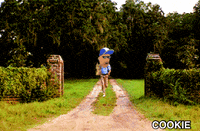 deeznutsnft deez nuts deez nuts nft fuck cancer deez cookie GIF