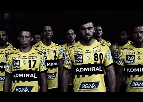 team handball GIF by Rhein-Neckar Löwen