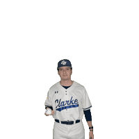 Clarke Baseball Sticker by Clarke University