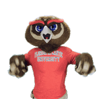 Boca Raton Sticker by Florida Atlantic University