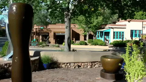 new mexico GIF