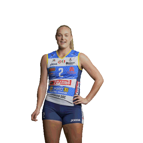 Plummer Sticker by ImocoVolley